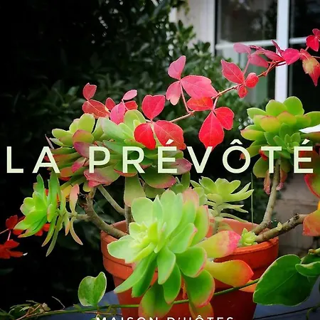 Bed & Breakfast La Prevote Moissac